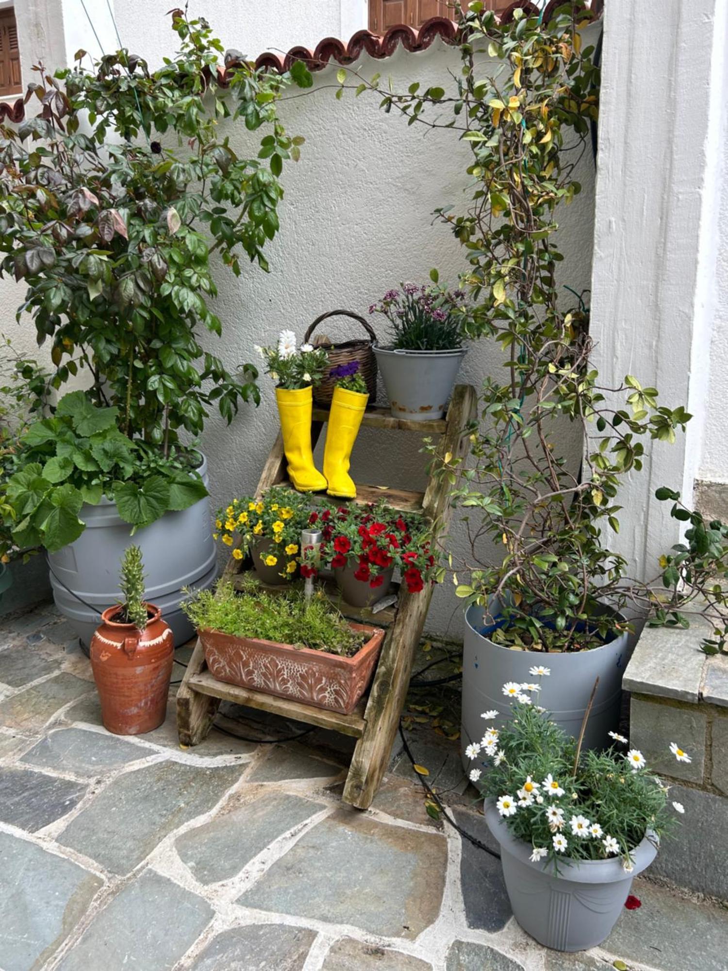 Guesthouse Doma Est 1991 아라초바 외부 사진